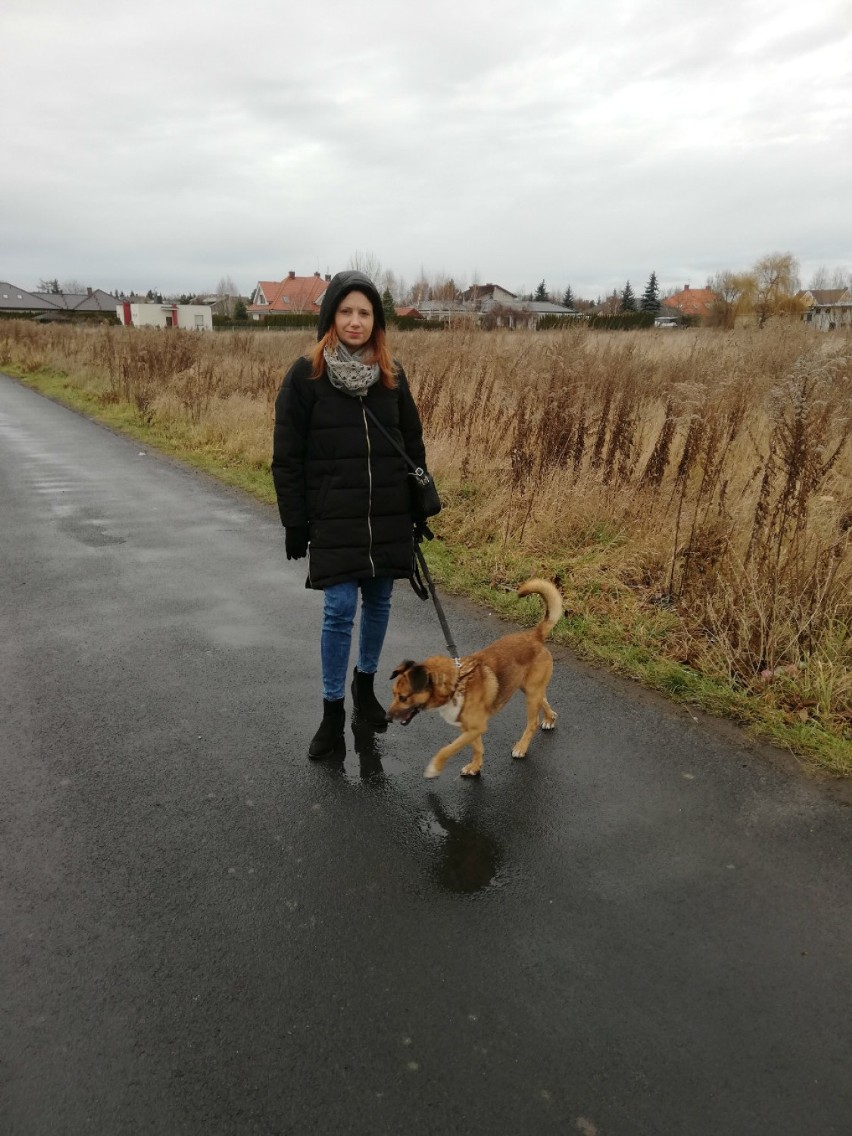 Uczniowie ZST-E po raz kolejny wzięli udział w akcji "Karma dla zwierzaka" ZDJĘCIA