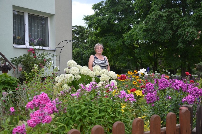 Konkurs "Gdzie te piękne ogrody i kwieciste balkony" w Suwałkach rozstrzygnięty. Zobaczcie, jak wyglądają najpiękniejsze ogródki [Zdjęcia]