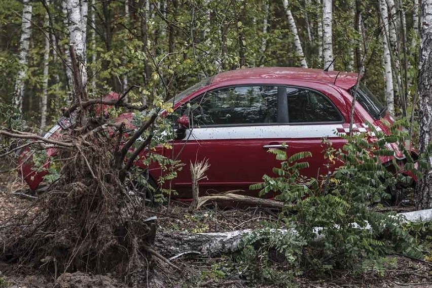 Wypadek pod Zieloną Górą. Fiat rozbił się o drzewa. Ranna młoda kierująca [ZDJĘCIA]