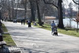 Wiosna zawitała do Oleśnicy. W parkach robi się kolorowo, spaceruje mnóstwo ludzi!