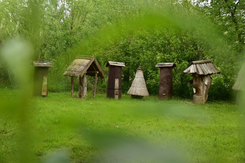 Muzeum Archeologiczne w Biskupinie. Historia i krótki, subiektywny spacer [zdjęcia]