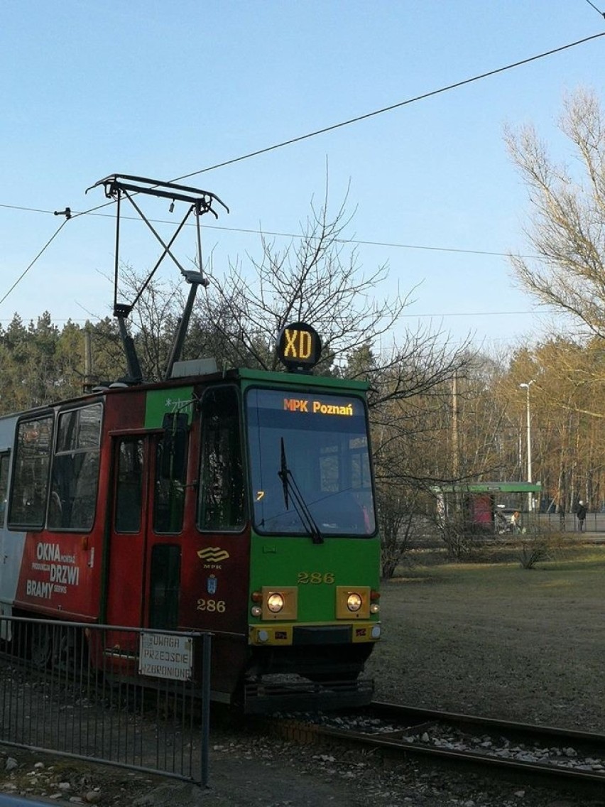 Codzienne podróżowanie MPK Poznań dostarcza wielu...