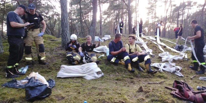 Pożar lasu w Helu (24.06.2019). Ponad 5 godzin gasiły go straże z Helu, Jastarni, Gnieżdżewa, Jastrzębiej Góry i Pucka