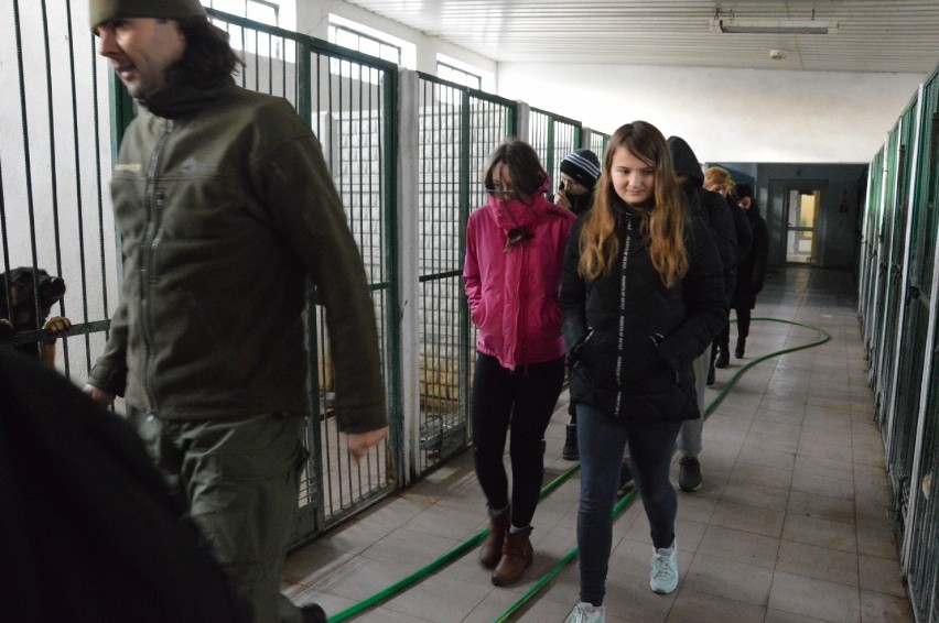 Bełchatów. Uczniowe z Ruśca zebrali ponad 600 kg karmy dla zwierząt ze schroniska [ZDJĘCIA]
