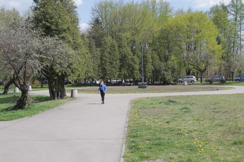 W Parku Kuronia w Sosnowcu przy dobrej pogodzie możemy...
