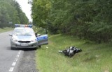 Motocyklista zderzył się z sarną w Dubiu. Zwierzę wbiegło mu pod koła