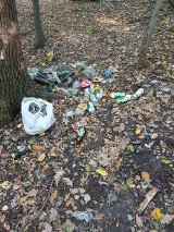 W Jastrzębiu odbędzie się wielka akcja sprzątania miasta. Znikną śmieci z najbardziej zanieczyszczonych lasów i parków. To akcja społeczna