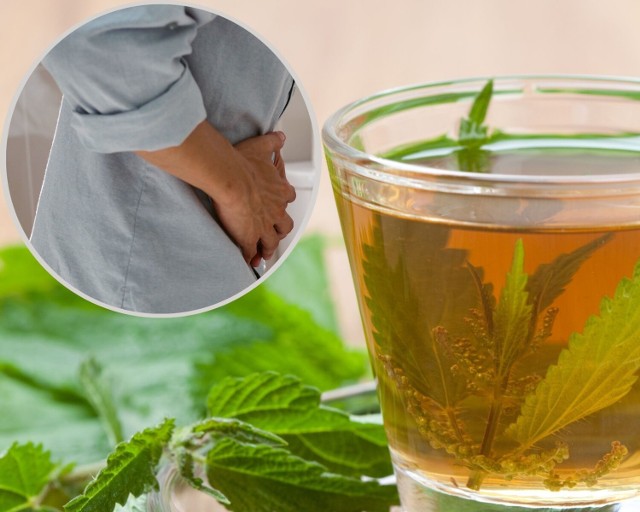Herbatka z pokrzywy pomaga nie tylko przy problemach z układem moczowym, ale także w chorobach stawów.