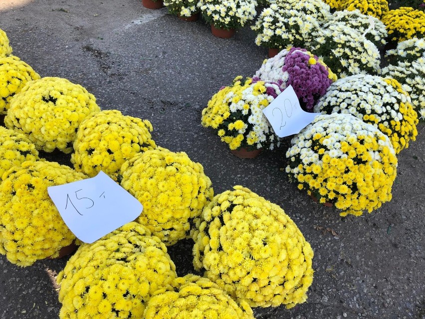 WRZEŚNIA: Targowisko miejskie - wszystko zakorkowane, takiego ruchu dawno nie było! [FOTO]