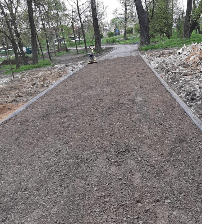 Chełm. Trwają prace  w Parku Miejskim.  Będą nowe nasadzenia drzew i krzewów