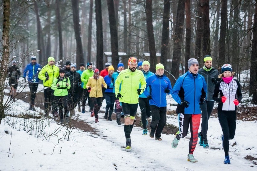 Pierwszy trening biegowy w Puszczy Bydgoskiej, na który...