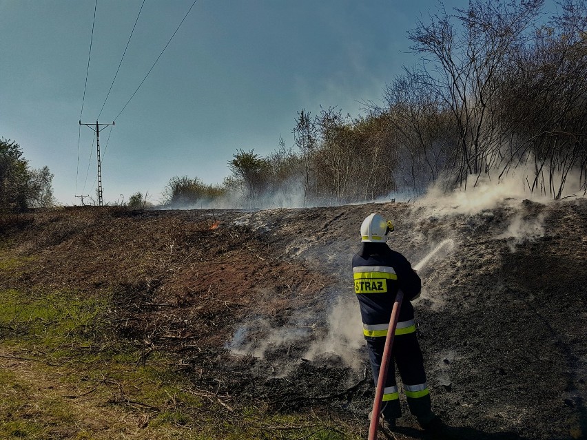 Chrzanów. Strażacy nie mają chwili wytchnienia z powodu podpalanych traw i nieużytków [ZDJĘCIA]