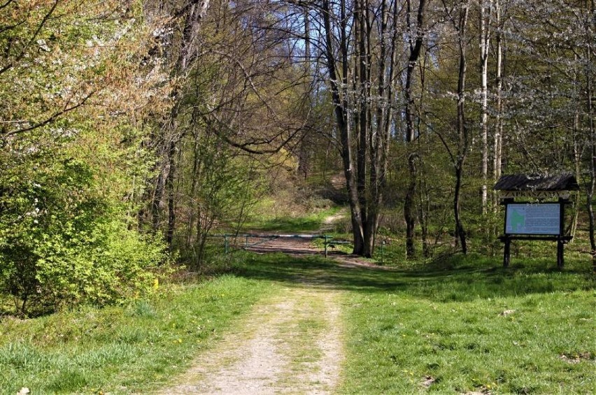 Sądeczanie czekają również na rewitalizację Lasku...