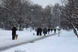 Dąbrowa Górnicza: Zima w pełni. Wszystkie górki oblężone przez najmłodszych. Zabawa trwa