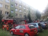 Pożar na Widzewie w Łodzi. Zmywarka odpowiedzialna za pożar mieszkania [ZDJĘCIA FILM]