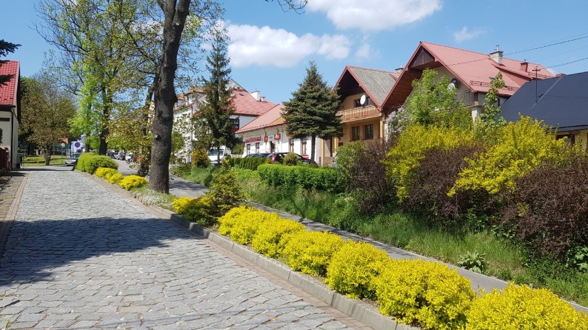 Nowy Wiśnicz Pomnikiem Historii - zobacz galerię najpiękniejszych miejsc [ZDJĘCIA]