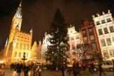 Gdańsk: Na Długim Targu stanęła 25-metrowa choinka