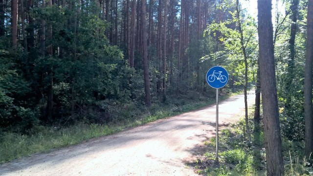 Gm. Stegna. Po leśnych ścieżkach rowerowych jeżdżą samochody