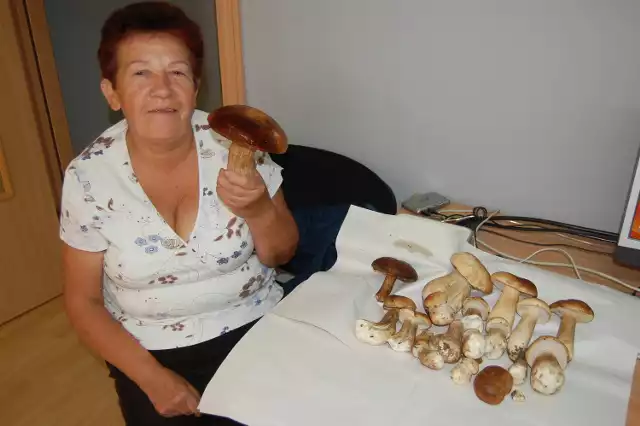 Dorodne grzyby w sztumskich lasach znalazła Maria Rzatkowska