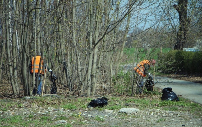 Legnica coraz czystsza dzięki bezrobotnym. Przez dwa miesiące zebrali ponad 13 ton odpadów!