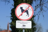 Interwencja Rzecznika Praw Obywatelskich w Obornikach. Czy zakaz wprowadzania psów na teren "Żwirek" był niezgodny z prawem?