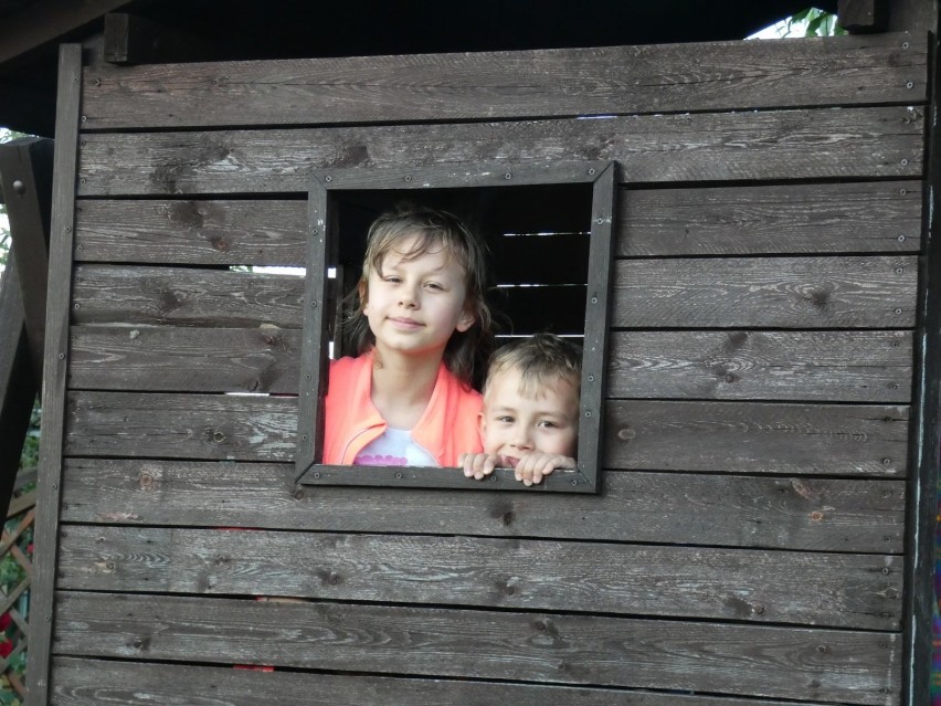 Działki przeżywają renesans. Nowych działkowców nie brakuje!