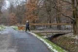 Kraków. Odmienili Park Aleksandry. Powstały nowe alejki, mostki, nasadzają zieleń [ZDJĘCIA] 