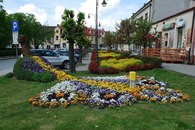 Pińczów pięknieje na wiosnę. W różnych miejscach w mieście posadzono łącznie dwa tysiące bratków. Przy rynku z kwiatów utworzono nawet herb Pińczowa! Robi to wrażenie, a to dopiero początek. Kolejne nasadzenia już wkrótce. 

Zobacz więcej na kolejnych slajdach >>>

 Wille i pałace najbogatszych Polaków. Zobacz, jak mieszkają

ZOBACZ TAKŻE: Zakupy w sklepach stacjonarnych nie wymierają

Źródło: Agencja Informacyjna Polska Press