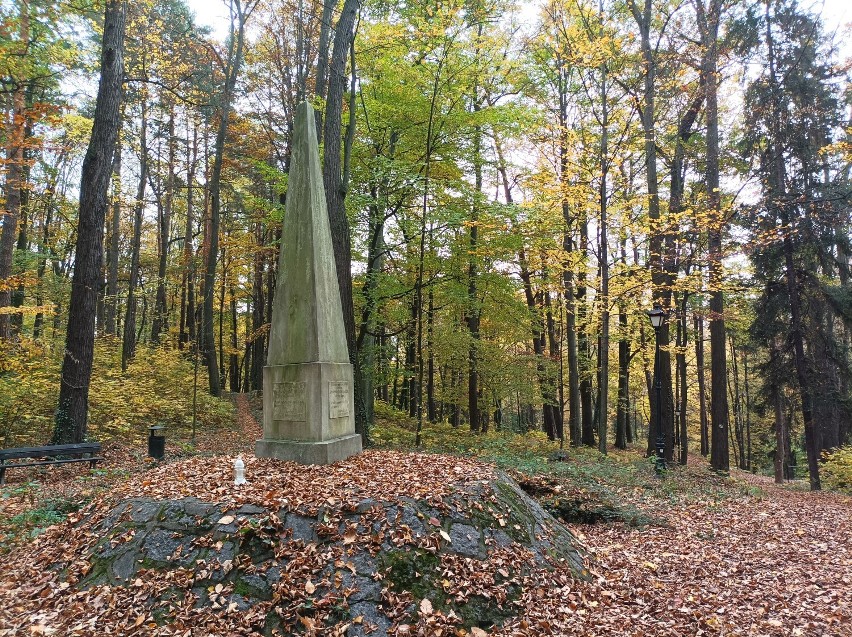 Pomnik Fryderyki Schönau w parku na Wzgórzu Kościuszki