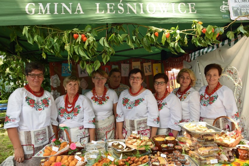 Bolkowanie 2019. Imieniny dębu Bolko z  Hniszowa (ZDJĘCIA) 