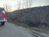 Powiat sztumski. W tym miesiącu strażacy wyjeżdżali już 20 razy do pożarów traw