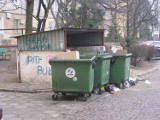 Sterta śmieci w centrum Gdyni