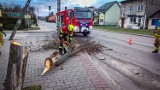Trudna noc w województwie lubelskim. Blisko 2,5 tys. gospodarstw bez prądu