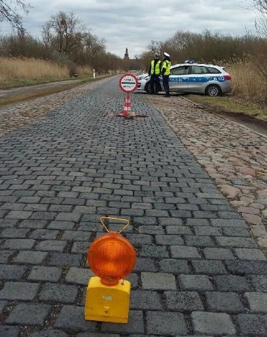 Polsko-niemieckie patrole: Tysiące kontroli, zatrzymane prawka [ZDJĘCIA]