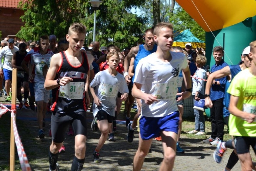 W VI Wojewódzkim Biegu Żuławskim Brzegiem Motławy wzięło udział 350 miłośników biegania od lat trzech do 84 [ZDJĘCIA]