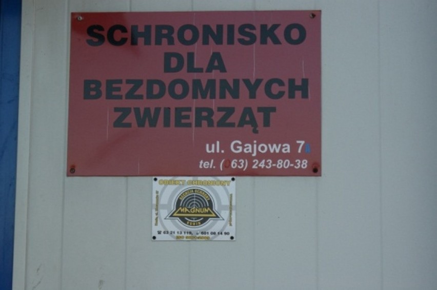 Schronisko dla Bezdomnych Zwierząt