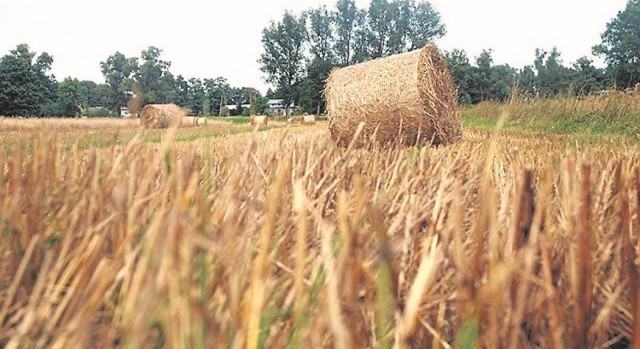 Szkolenia dla rolników z powiatu kościańskiego