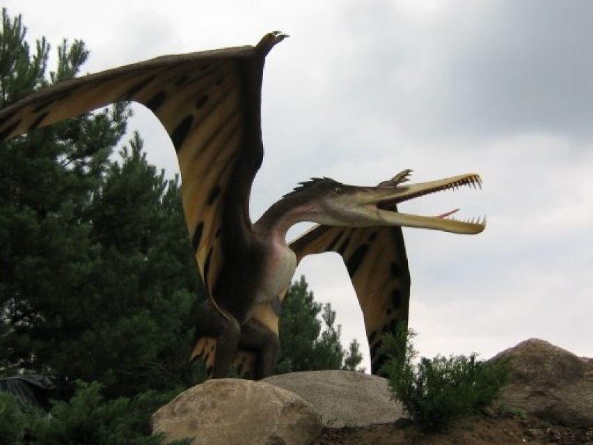 Jurajski Park Dinozaurów w Jurowcach