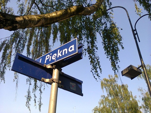 Utrudnienia w ruchu w Płocku - 10 lipca drogowcy będą pracować m.in. na ul. Pięknej