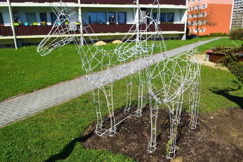 Mieszkańcy "siódemki" na Osiedlu Pawlikowskiego upiększają...