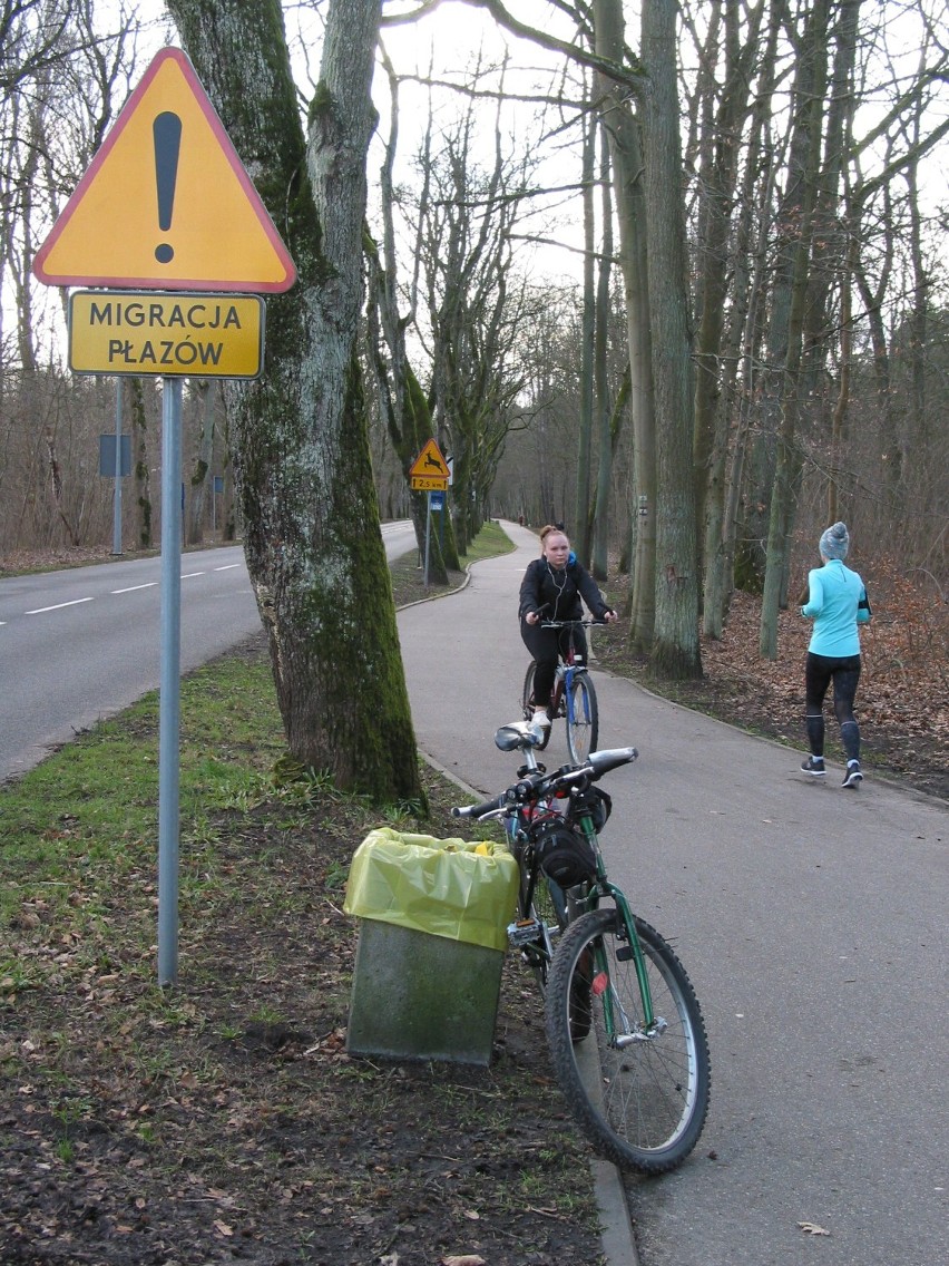 Znaki drogowe przy trasach rowerowych już ostrzegają, że...