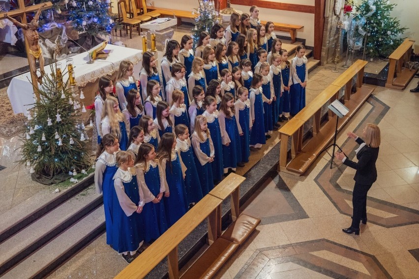 Koncert chórów „Gwiazdo świeć, kolędo leć…" na zakończenie kolędowania w Stalowej Woli. Zobacz zdjęcia