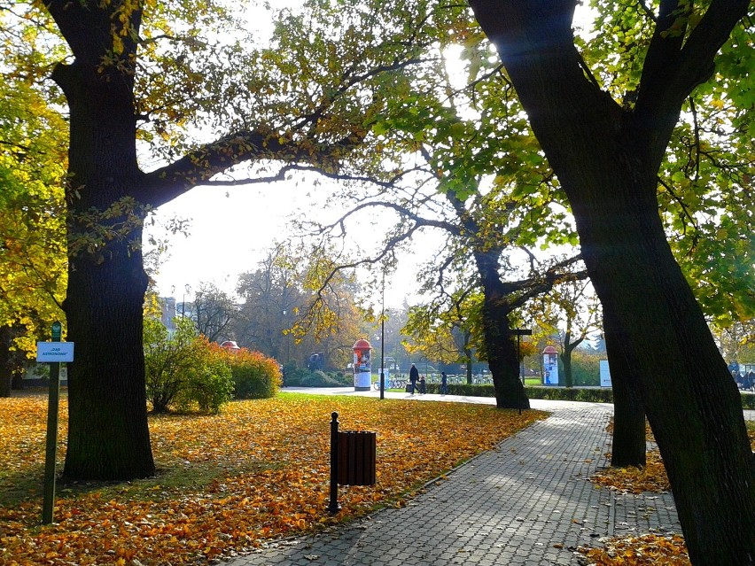 Jesienny Toruń - 2014