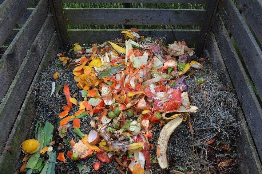 Rabat za kompostowanie odpadów zielonych w Szczecinie, nie tylko w domach jednorodzinnych? Projekt mieszkanki miasta
