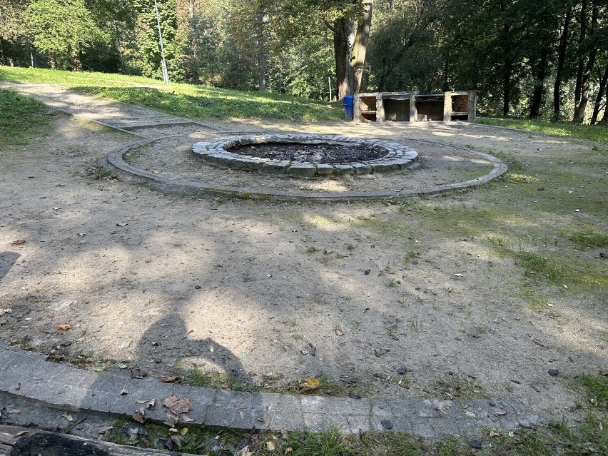 Park Piszczele w Sandomierzu w nowej odsłonie. Powstanie sadzawka i amfiteatr? Zobacz wideo i zdjęcia