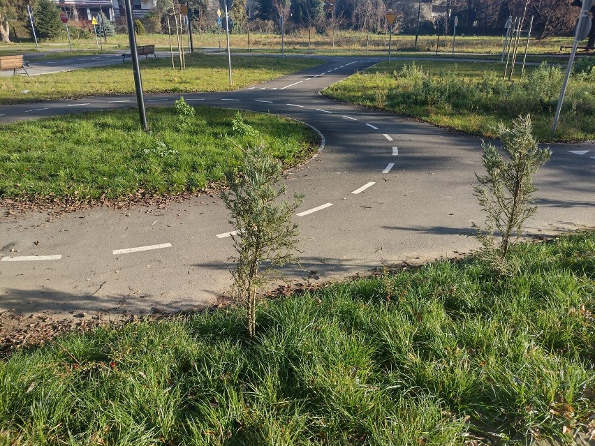 Tak, po kilku miesiącach od otwarcia, wygląda park...