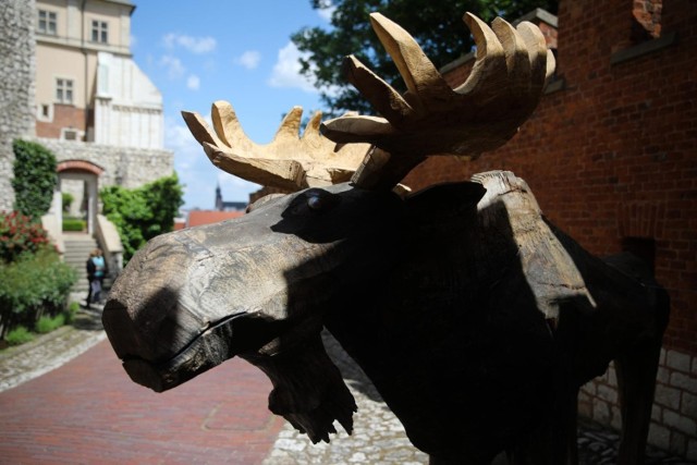 Rzeźby zwierząt autorstwa Jana Wilkonia stanęły w królewskich ogrodach na Wawelu