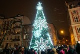 Miejska choinka na placu Kolegiackim rozświetlona! Świąteczny klimat na dobre zagościł w Poznaniu