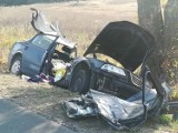 Wypadek w Ugniewie, pow. ostrowski. Samochód uderzył w drzewo. 5 osób trafiło do szpitala