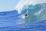 Dokument "Storm Surfers 3D" na specjalnym pokazie w Kinotece